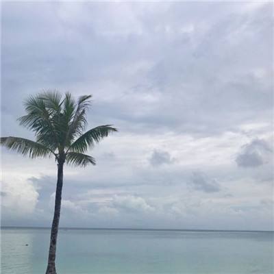 亚搏平台最新版app下载