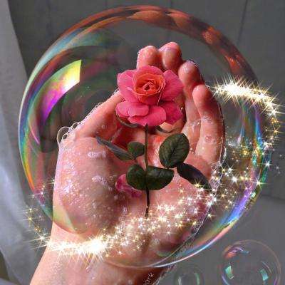 乐动体育app官网入口